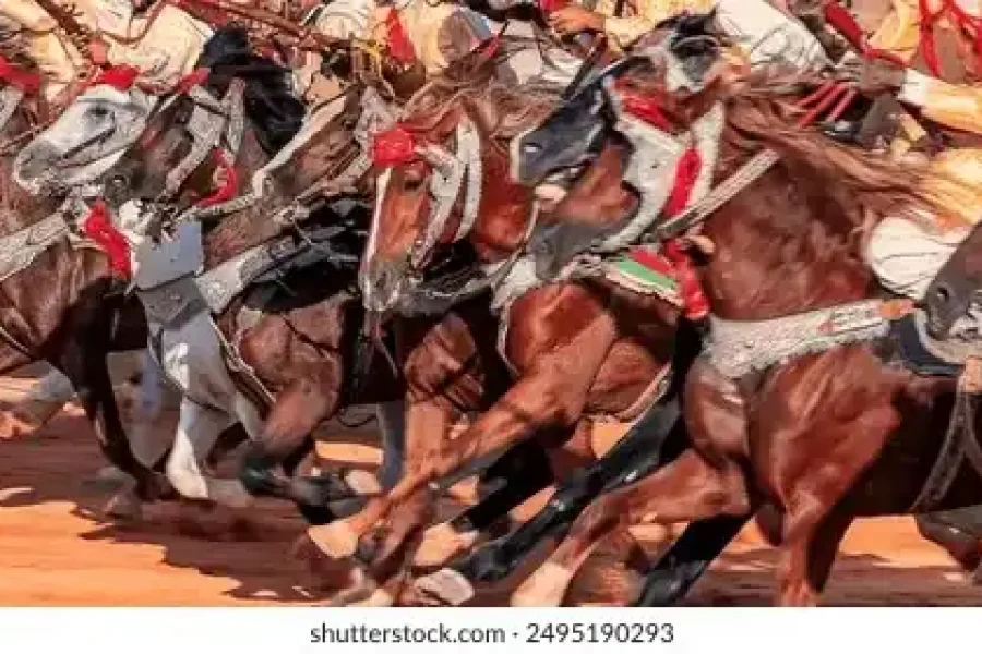 ✨ Timimoun Date Festival (Algeria)