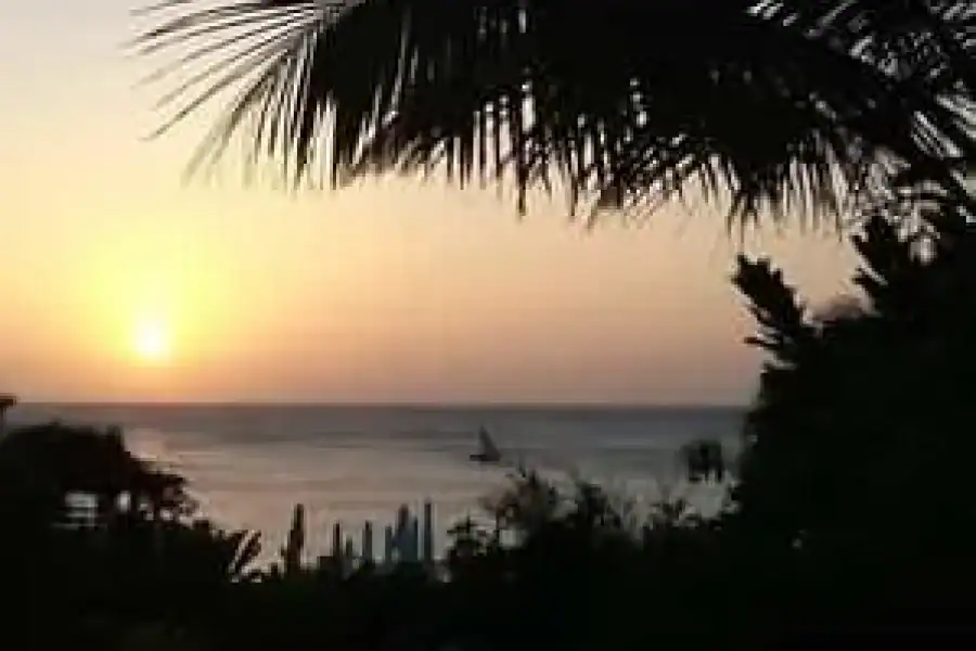 🚸Tour African Pool Map Tiwi,along Diani Beach.