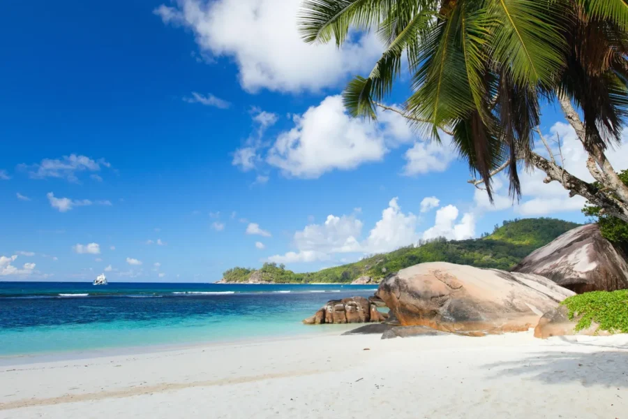 🕓Tropical Beach Adventure Tour