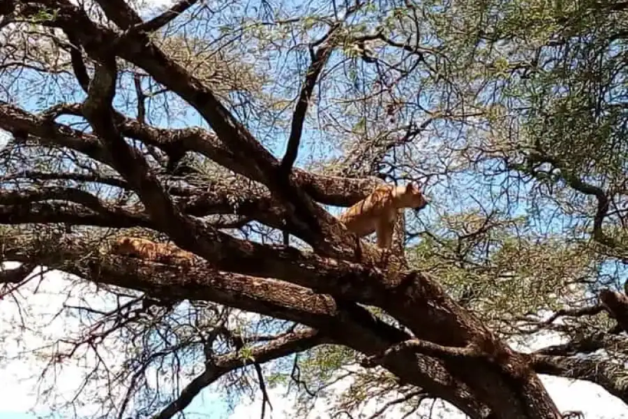 🚸Tsavo National Park: Small Group Day Trip