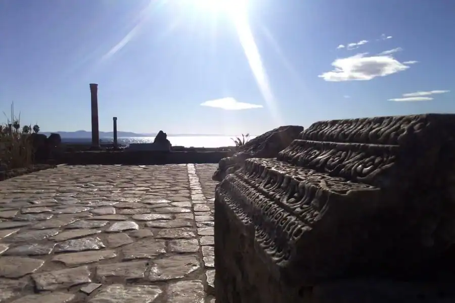 🕓Tunis: Carthage Roman Theatre, Villas and Baths Guided Tour