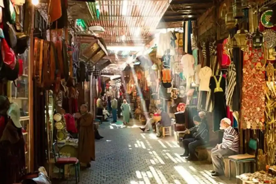 🕓Tunis: Iconic Medina& City Center Cultural Tour