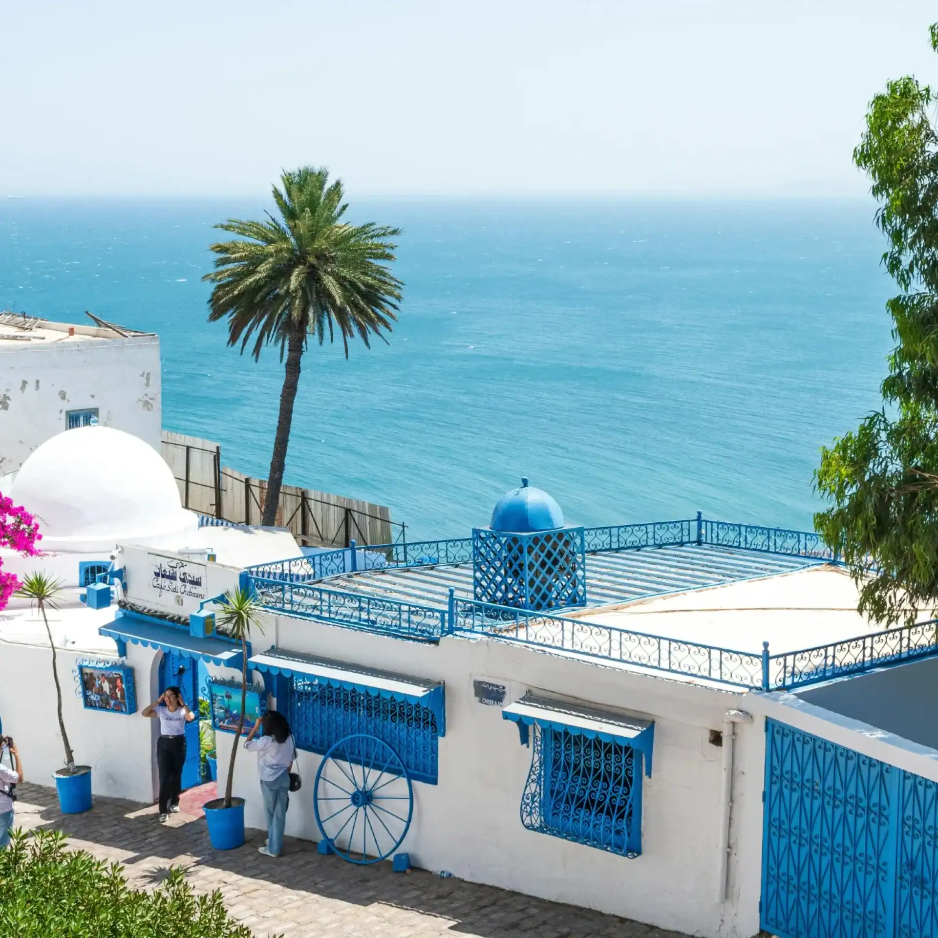 🕓Tunis: Medina, Carthage& Sidi Bousaid Private Day Trip