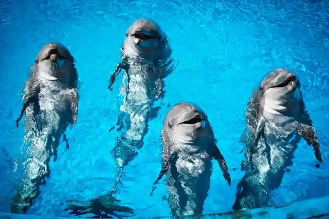 🌊 U Shaka Marine World (South Africa)