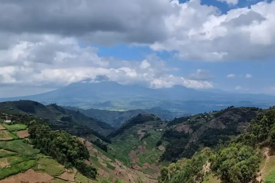🕓Uganda and Rwanda: 8-Day Gorillas and Wildlife Safari