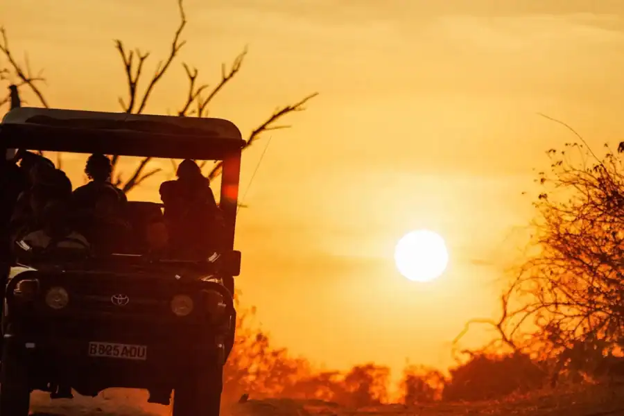 🕓Victoria Falls: 2-Day Chobe National Park Camping Safari