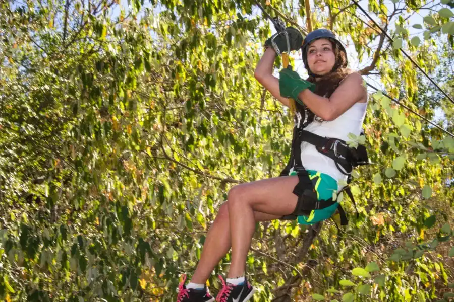 🕓Victoria Falls: Canopy Tour