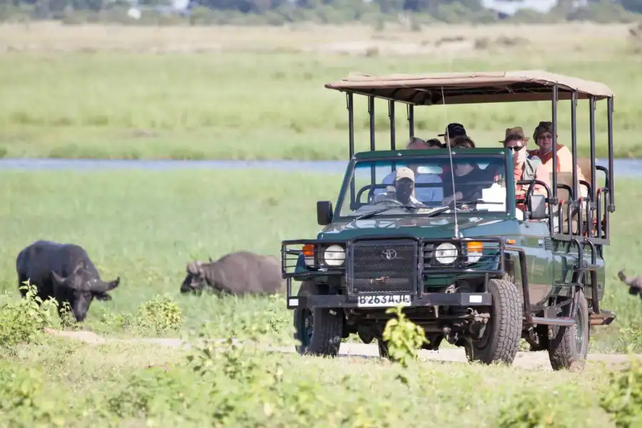 🕓Victoria Falls: Chobe National Park Day Trip with Lunch
