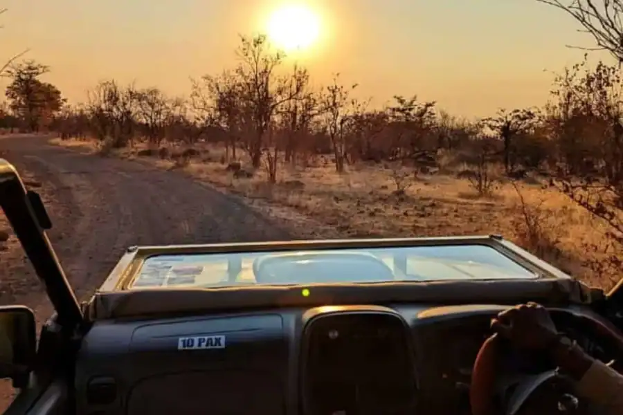 🕓Victoria Falls: Dry Safari Game drive in National Park