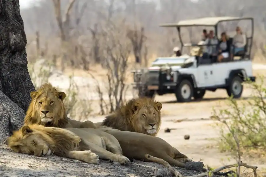 🕓Zambezi National Park Game Drive