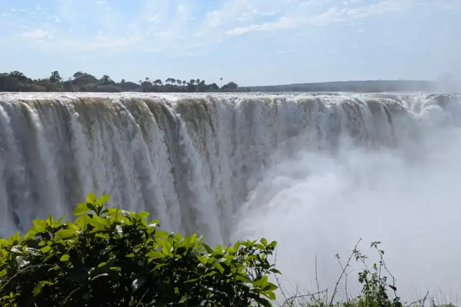 🕓Victoria Falls: Guided Tour with Rainforest& Big Tree