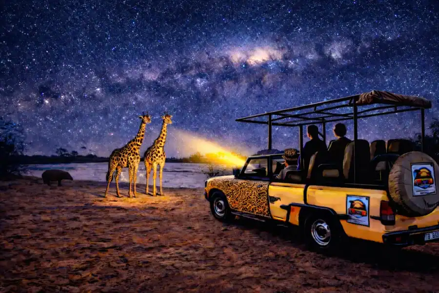 🕓VicFalls: Stargazing Moonlight Safari with 4×4 (GB-F-ES-D)