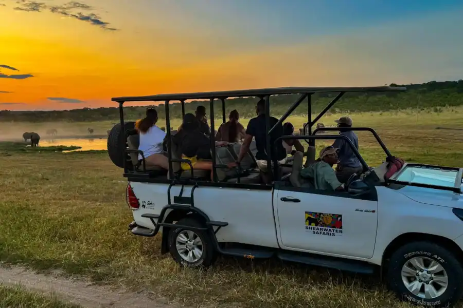 🕓Victoria Falls: Night Game Drive Zambezi National Park