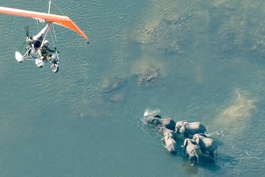 🕓Victoria Falls: Scenic Microlight Flight