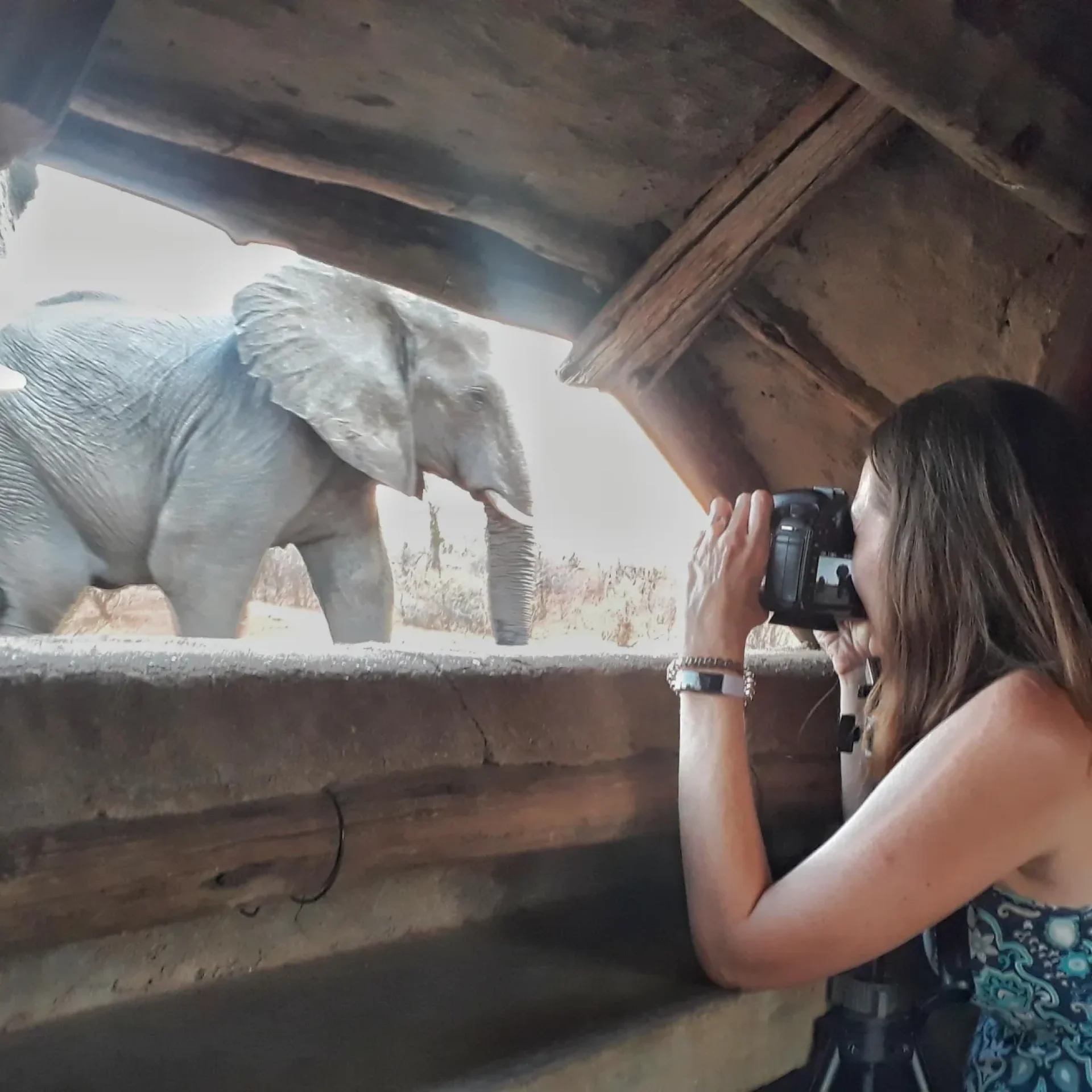 🕓Victoria Falls: Siduli Hide Wildlife Viewing Experience