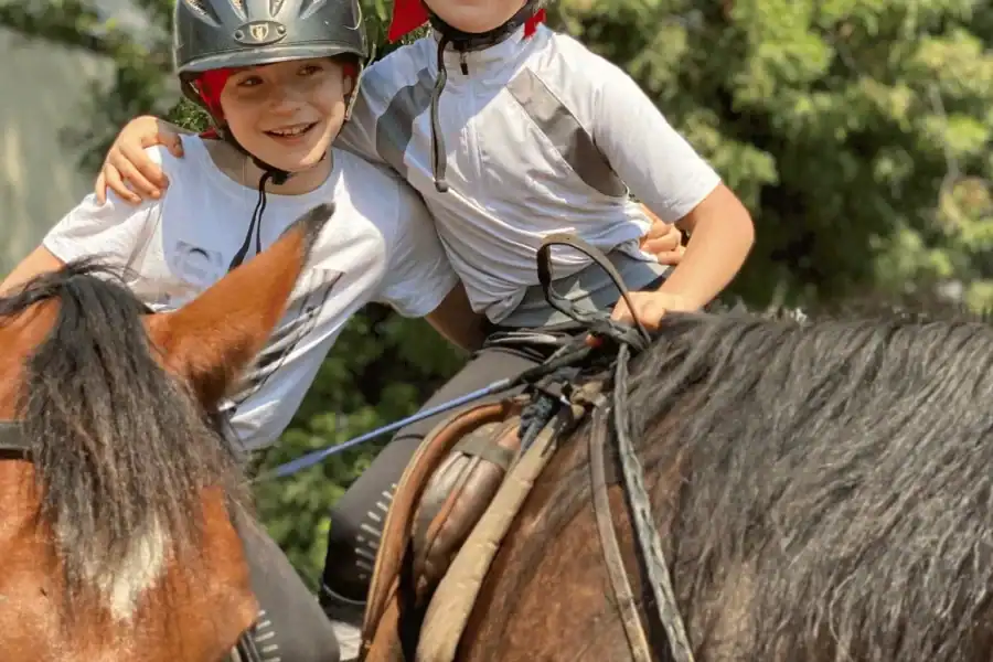🕓Vrede en Lust Wine Estate:1-Hour Horseback Riding Experience