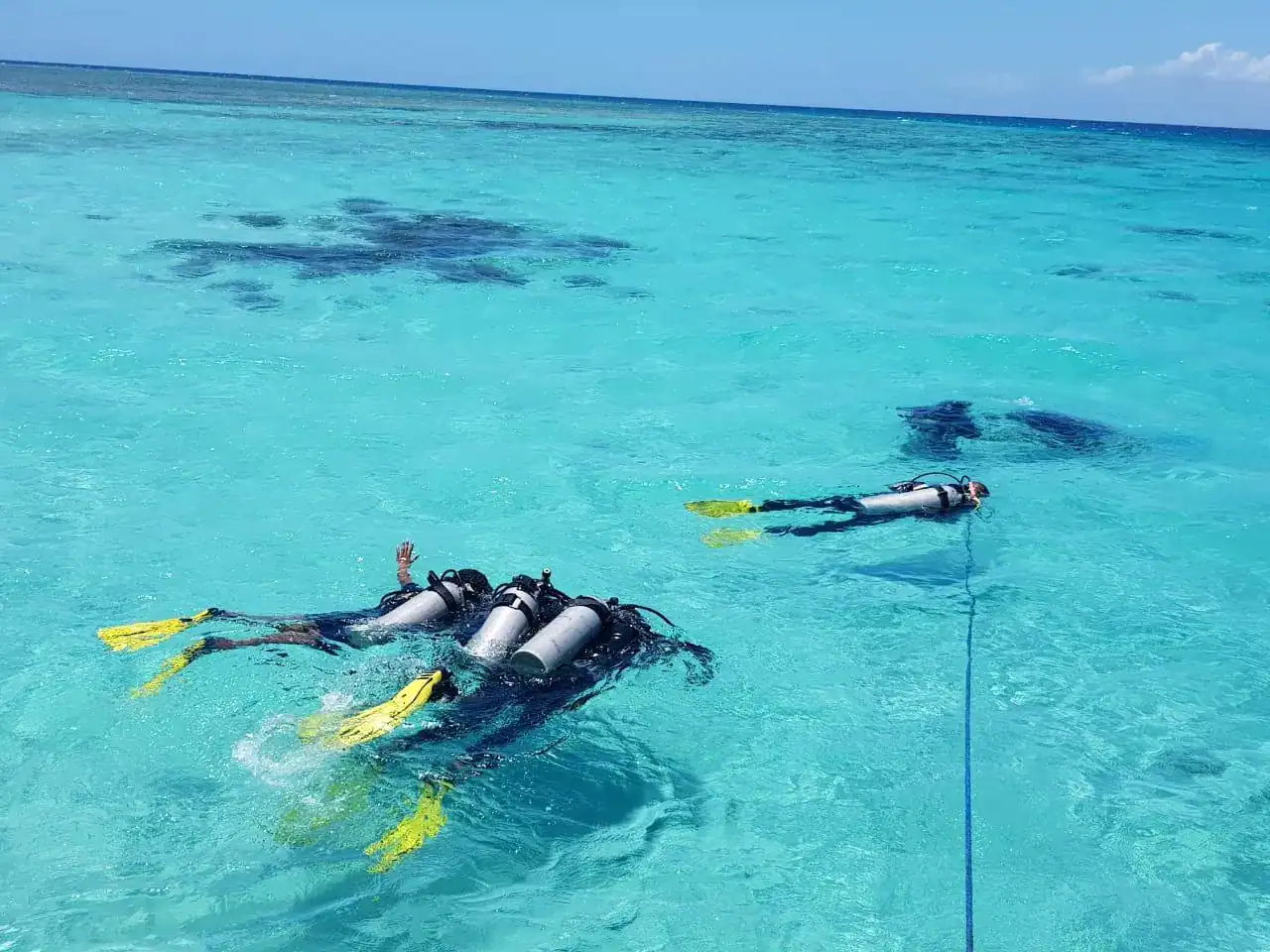 🕓Wasini Excursion: Dolphin Trip& Snorkel at Kisite Mpunguti