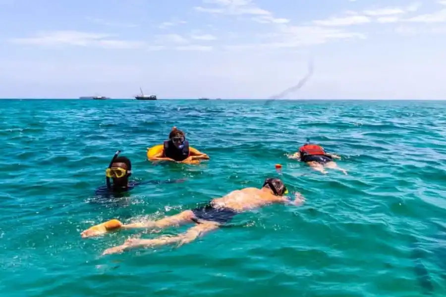 🚸Wasini Island: Dolphin Spotting & Snorkel At Kisite Mpunguti
