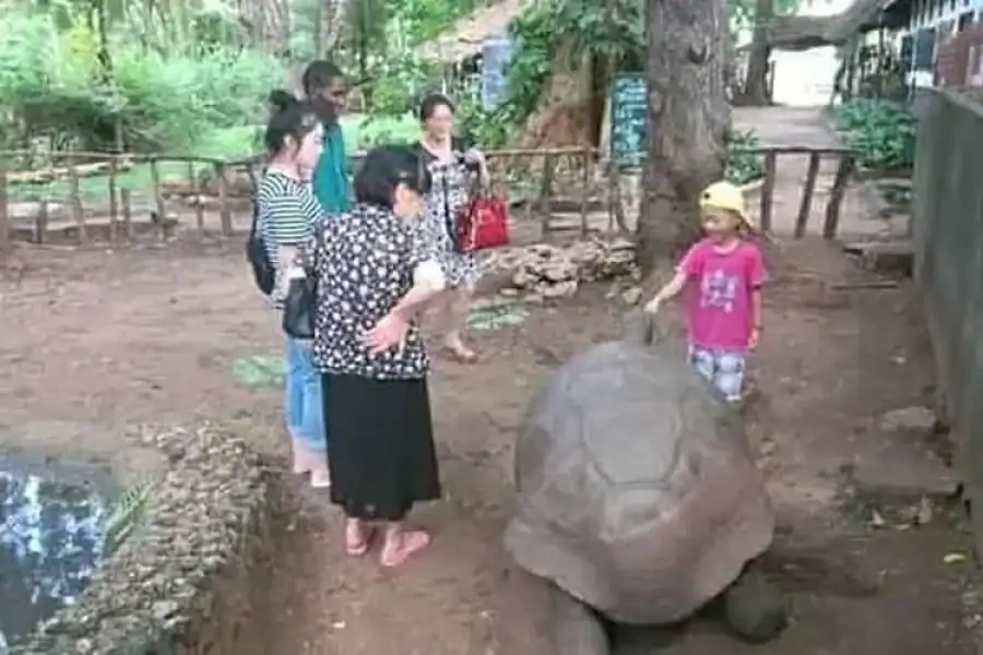 🚸Watamu: Bioken Snake Farm Half Day Tour.