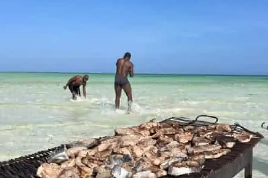 🚸Watamu: Malindi: Sardegna Island & Malindi Marine Park