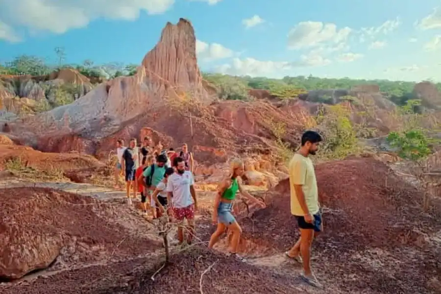 🚸Watamu: Tours And Excursions