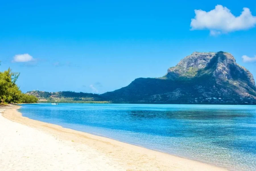 🕓Mauritius Dolphin Tour by Speed Boat, Crystal Rock& Lunch