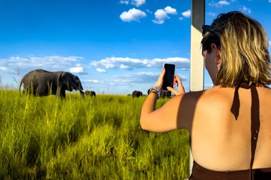 🕓Wild Zambezi: Safari, Traditional Dinner& Stars
