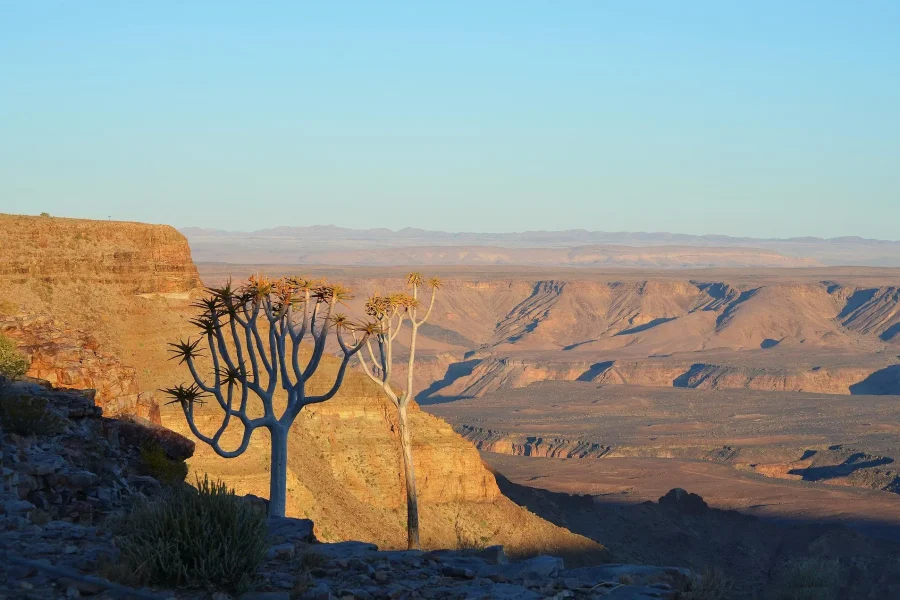🕓Windhoek: 3-Day Fish River Canyon& Quiver Tree Guided Tour