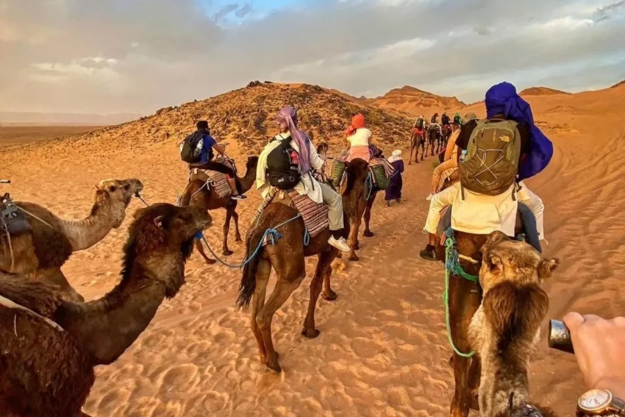 🕓Zagora Desert: 2-Day 1-Night Desert Expedition to Remember