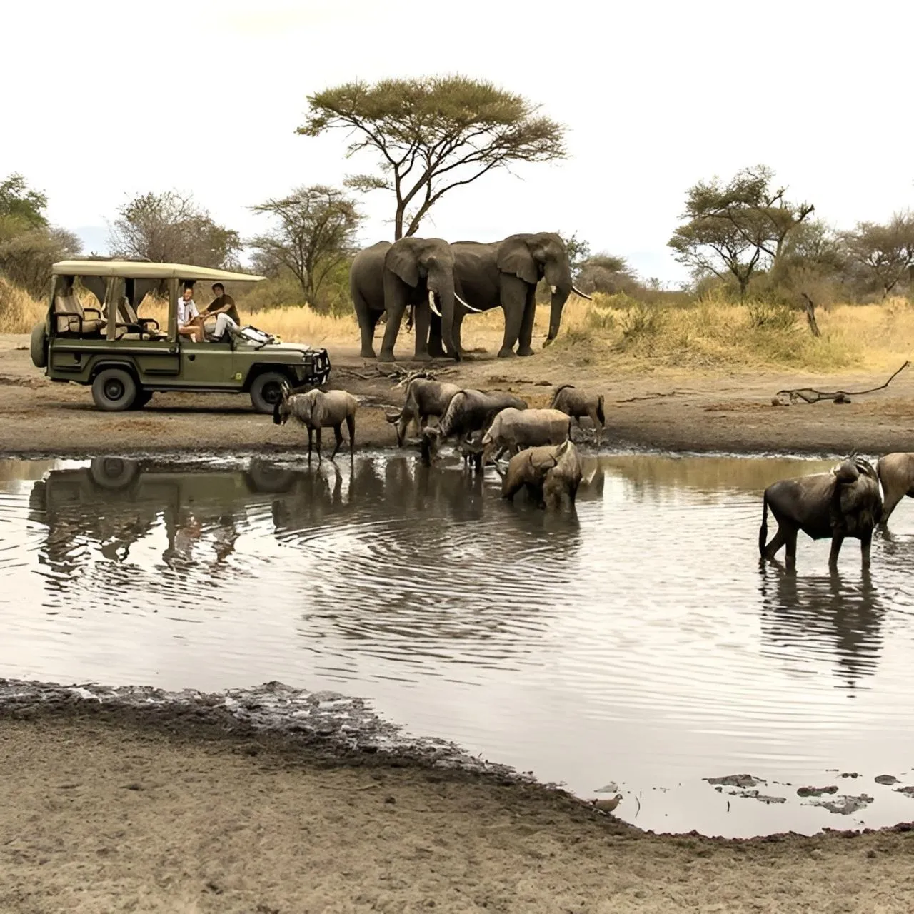🕓Zanzibar: 3 Days Mikumi Wildlife Safari (Open Jeep& Ferry)