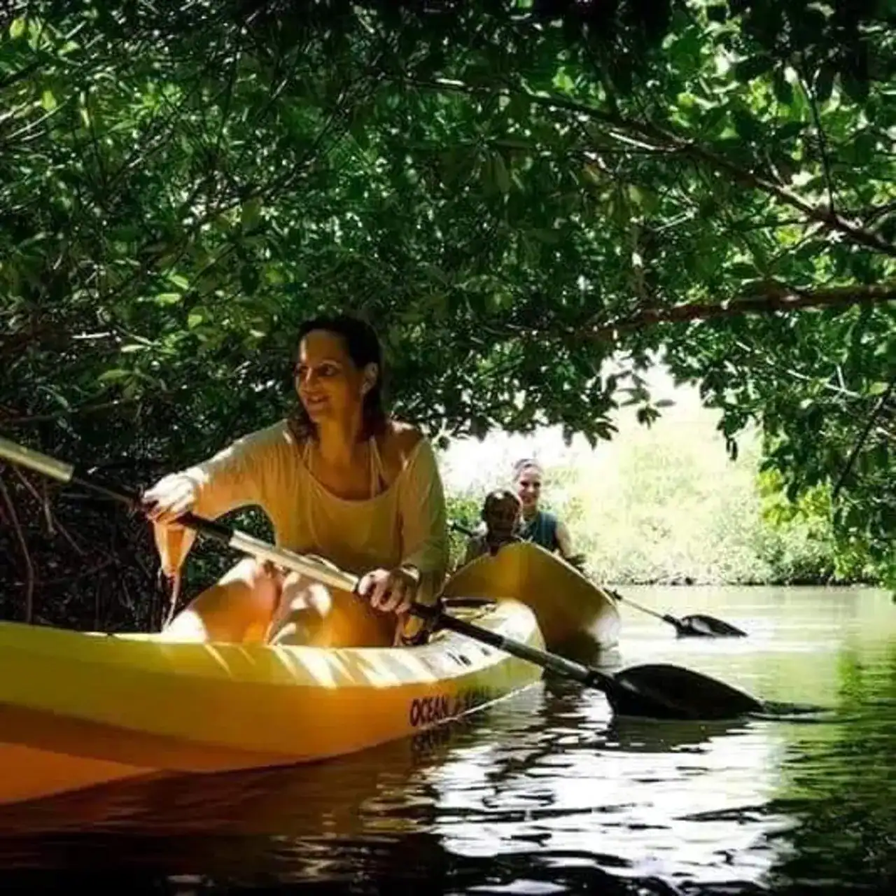 🕓Zanzibar: 3-hour Kayak Tour through the Mangrove Forest