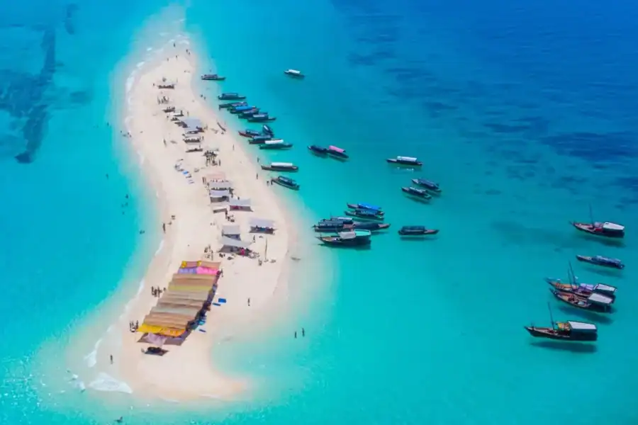 🕓Zanzibar Day: Prison Island, Nakupenda Lunch& Meeting point