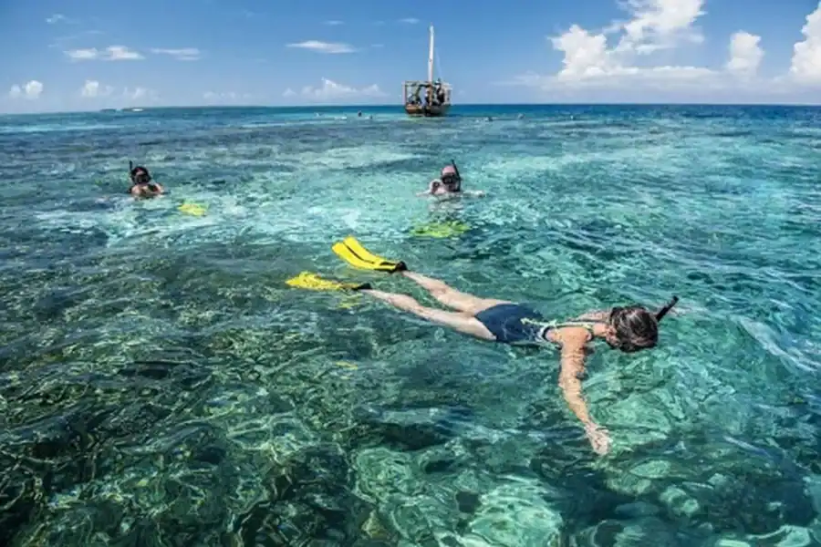 🕓Zanzibar Half-Day Blue Lagoon Snorkeling Tour,blue adventure