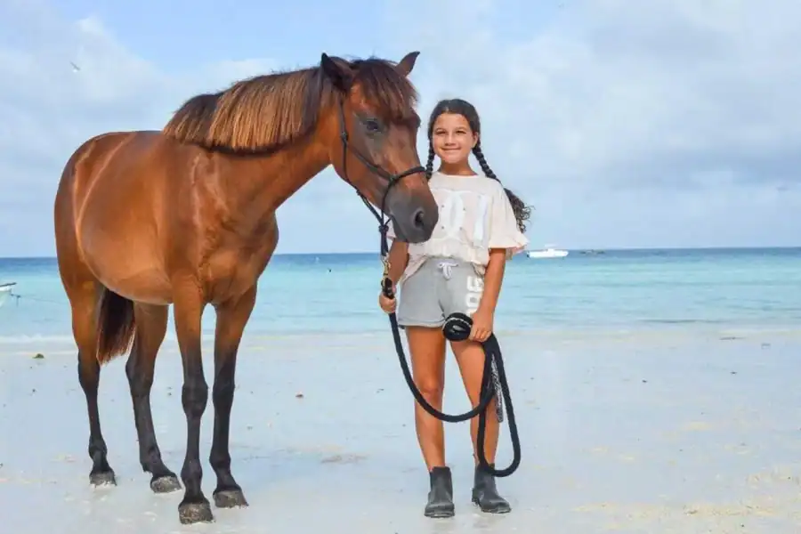 🕓Zanzibar: Horseback Riding on the Beach with Guide