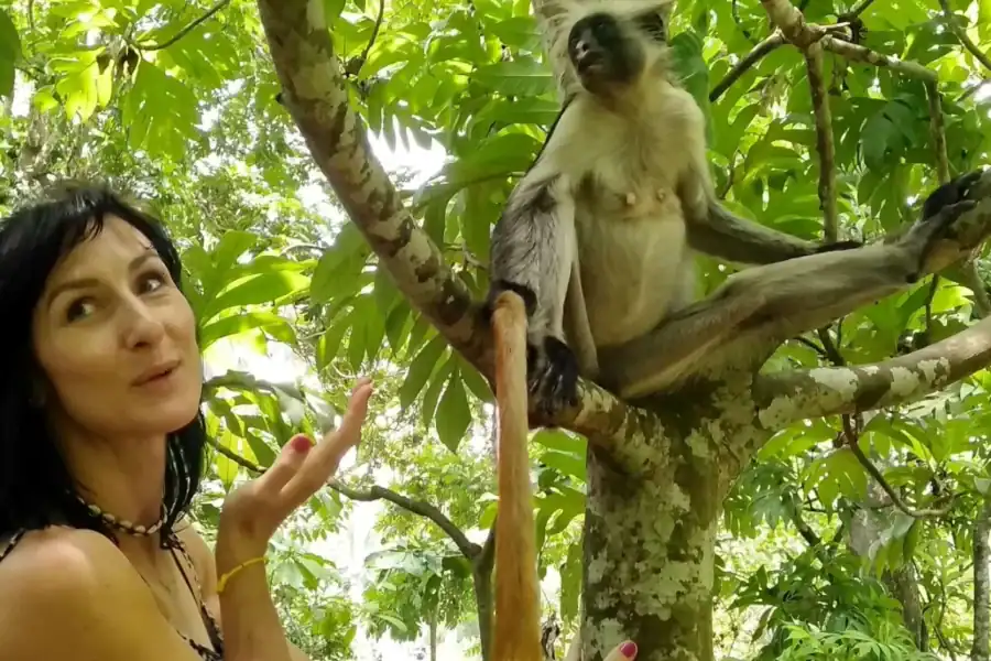 🕓Zanzibar: Jozani Forest, Local Zoo and Swimming with Turtles