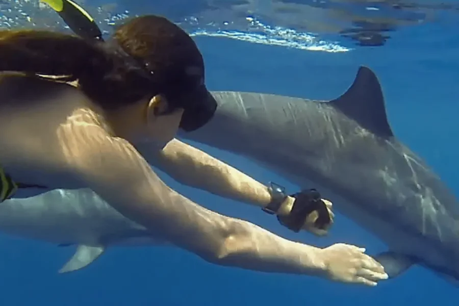 🕓ZANZIBAR: Jozani Forest& Mnemba Dolphin Snorkeling with BBQ