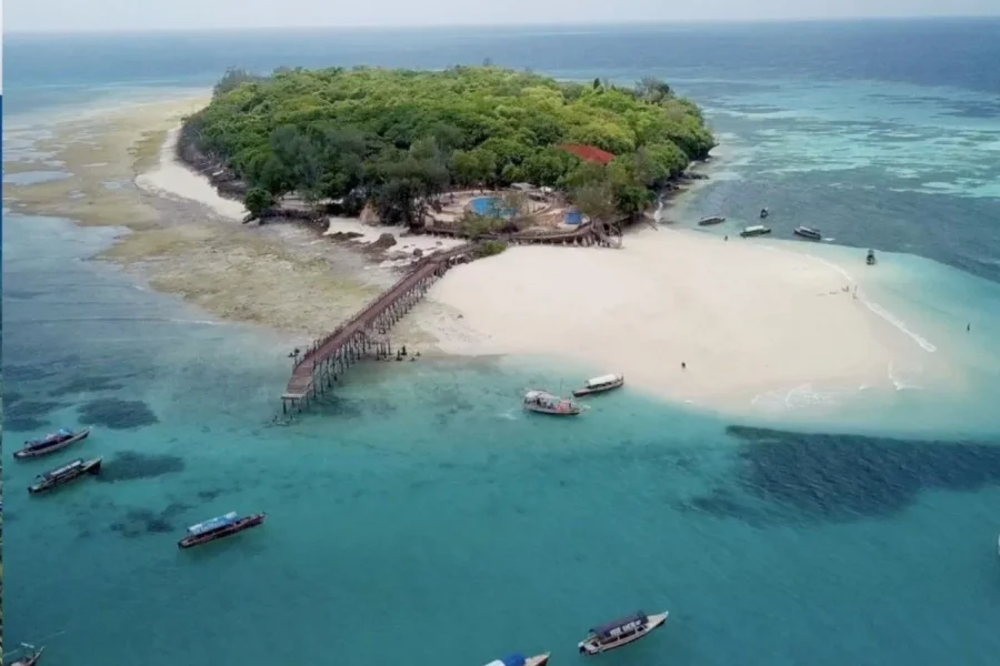 🕓Zanzibar: Jozani Forest, Prison Island and Spice Farm Tour