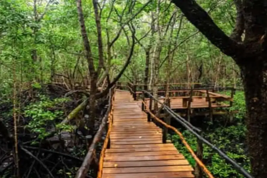 🕓Zanzibar: Jozani Forest, Sea Turtles, and Spice Farm Tour
