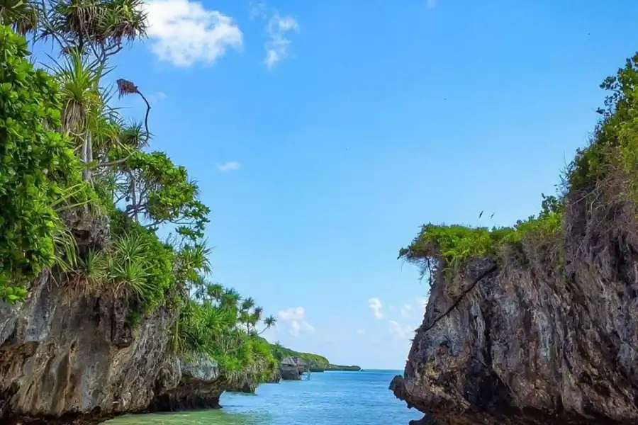 🕓Zanzibar: Jozani Forest, Swahili Cave& Mtende Beach Tour
