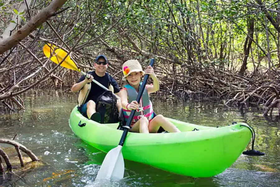 🕓ZANZIBAR : Kayak tour in mangrove forest with fruits