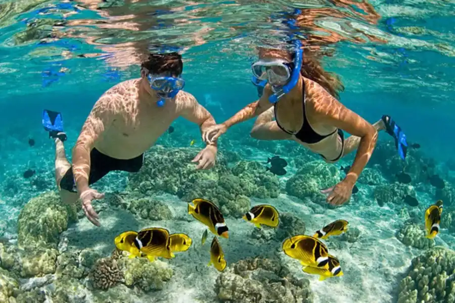 🕓Zanzibar: Kiwengwa Reef Snorkeling and Sailing Tour