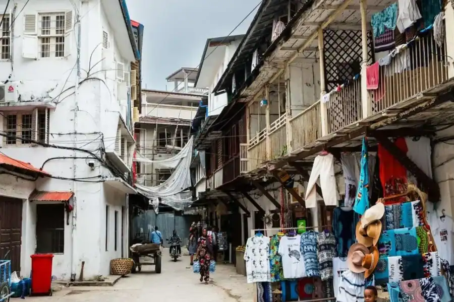 🕓Zanzibar: Local village visit and Stone Town Guided Tour