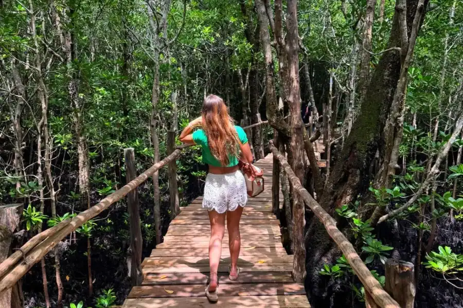 🕓Zanzibar: Mangrove Forest Eco-Kayak Tour