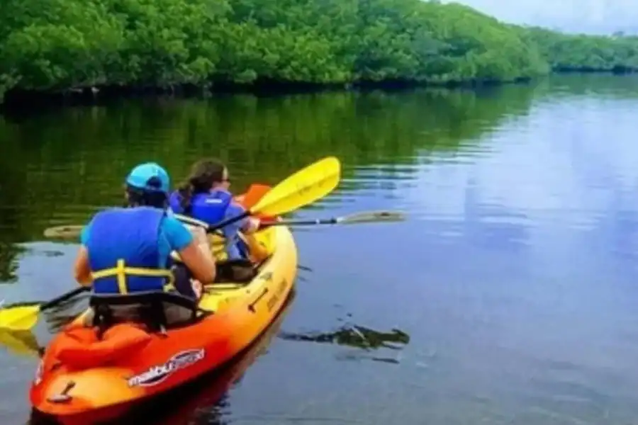 🕓Zanzibar: Mangrove serenity Kayaking& Uzi Village Tour.