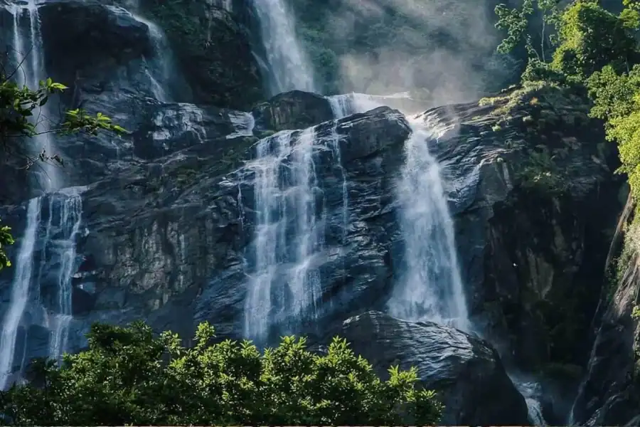 🕓Zanzibar: Mikumi Safari and Udzungwa Waterfall