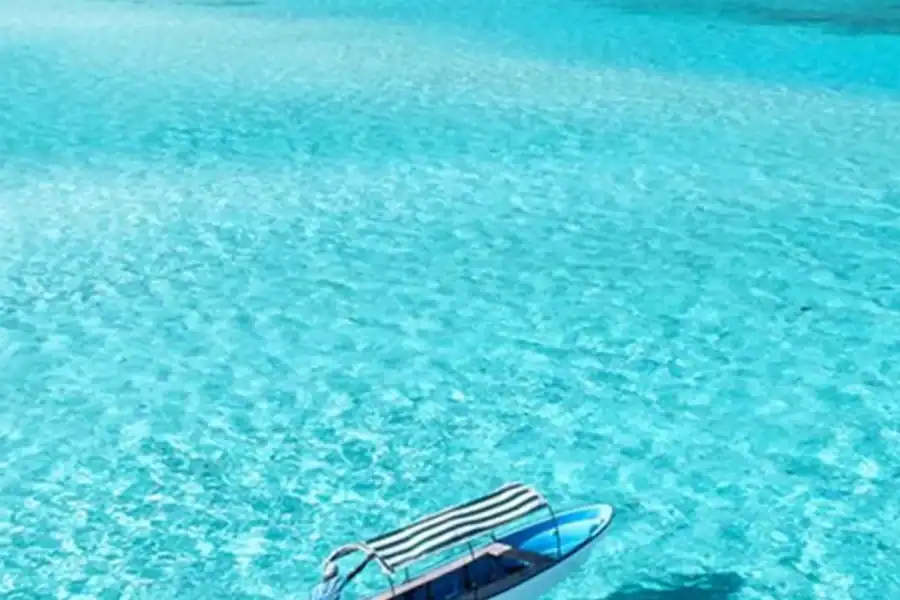 🕓Zanzibar: Mnemba Dolphin Tour, Snorkeling& Turtle Swim