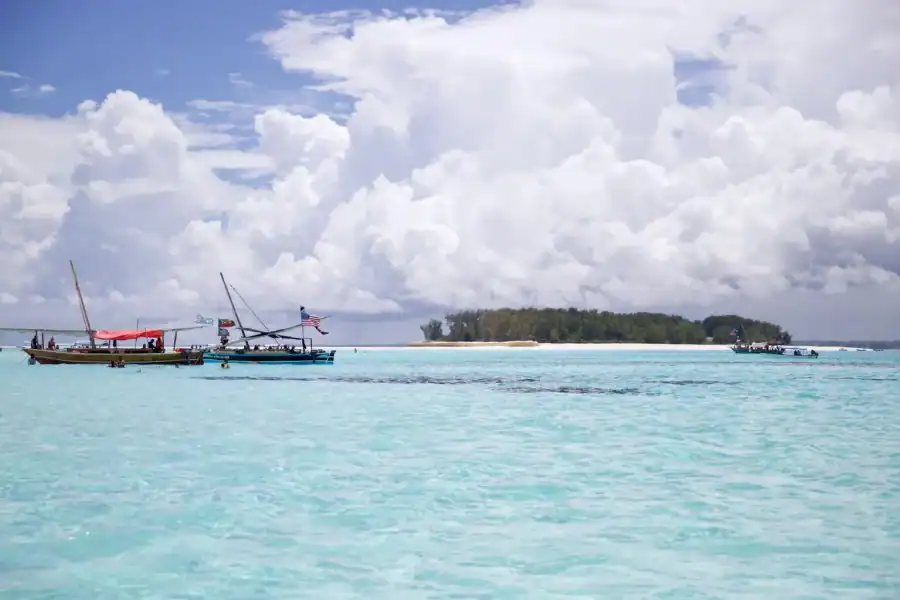 🕓Zanzibar: Mnemba Island Dolphin Watching and Sunset Cruise