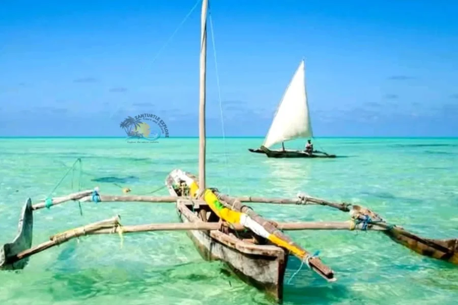 🕓Zanzibar: Ngalawa Cruise with Snorkeling, Starfish& Fruits