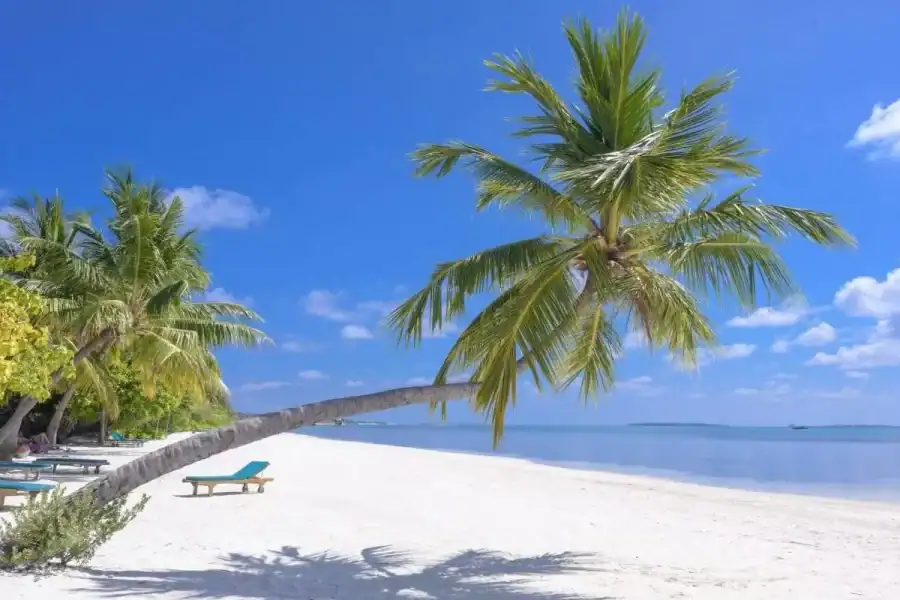 🕓Zanzibar: Nungwi Horseback Ride and Sunset Dhow Cruise