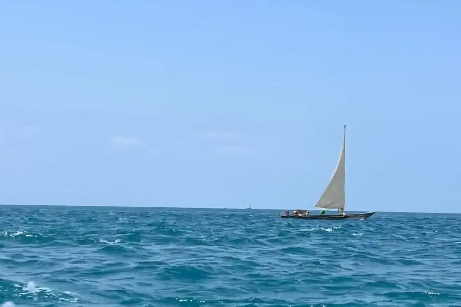 🕓Zanzibar: Nyundo Sandbank Private Boat Tour with Guide